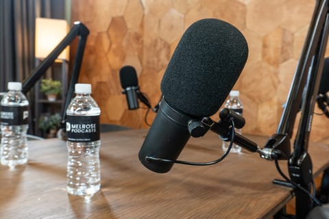 Melrose Podcasts — Los Angeles — photo 6